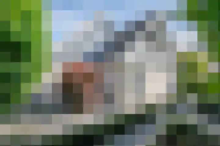 Korenbloem 4 Bergambacht thumbnail 5