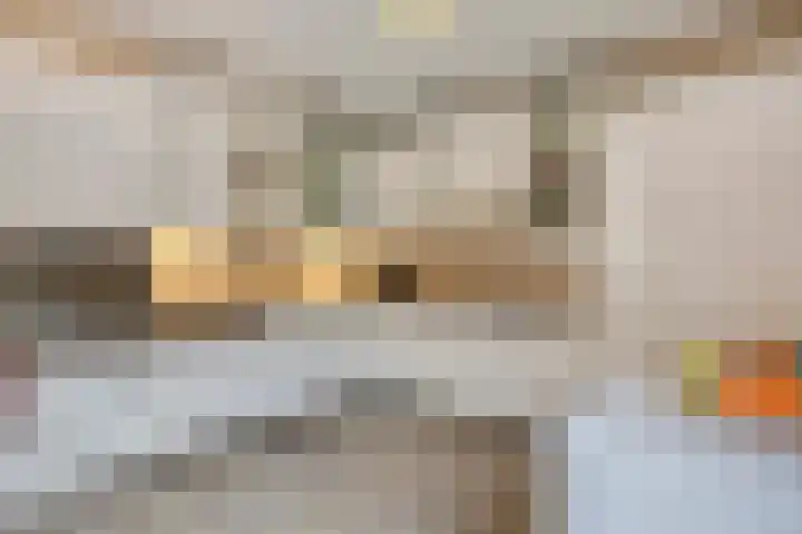 Korenbloem 4 Boekel thumbnail 13