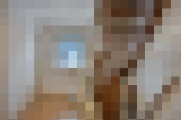 Korenbloem 4 Boekel thumbnail 14