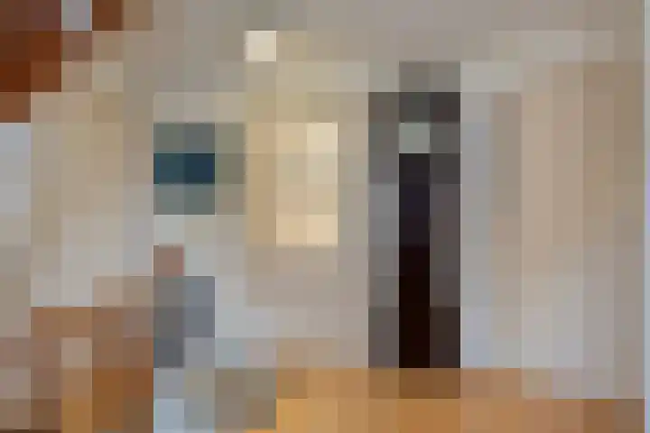 Korenbloem 4 Boekel thumbnail 15