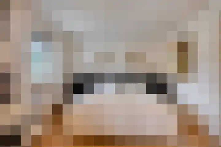 Korenbloem 4 Boekel thumbnail 16