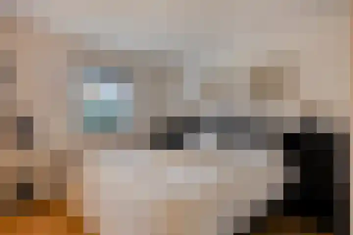 Korenbloem 4 Boekel thumbnail 17