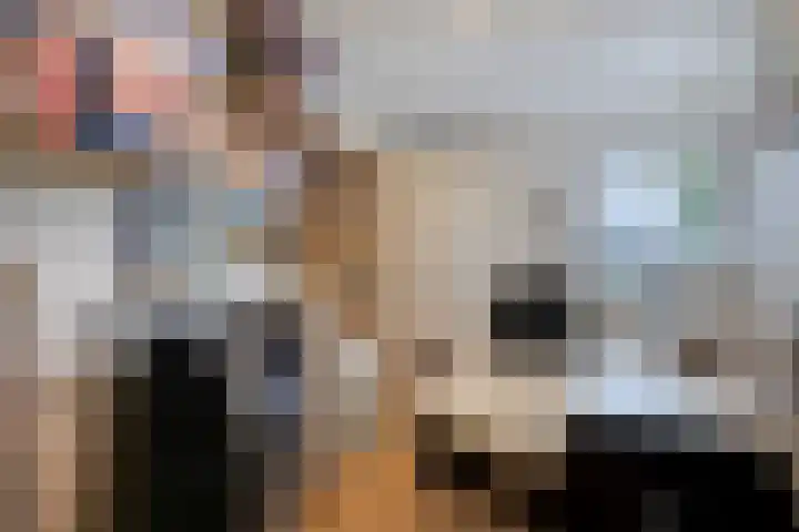 Korenbloem 4 Boekel thumbnail 21