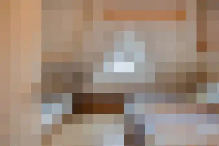 Korenbloem 4 Boekel thumbnail 24