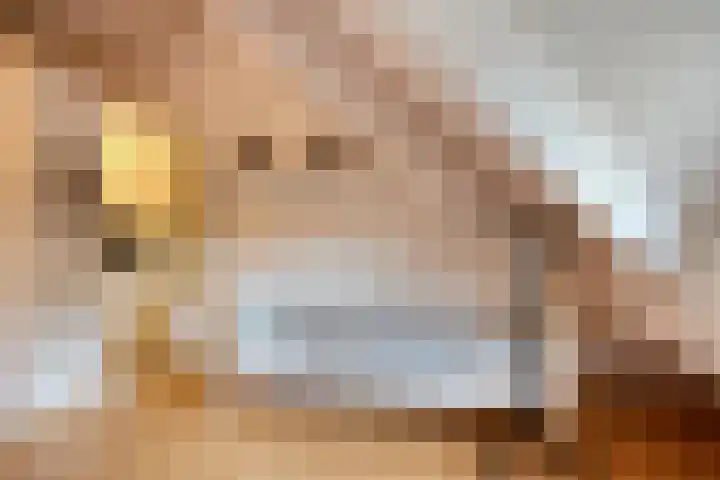 Korenbloem 4 Boekel thumbnail 26