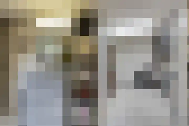 Korenbloem 4 Boekel thumbnail 29