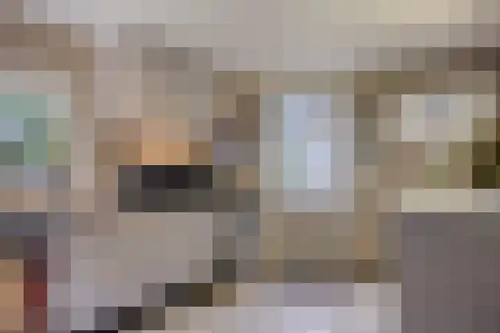 Korenbloem 4 Boekel thumbnail 30