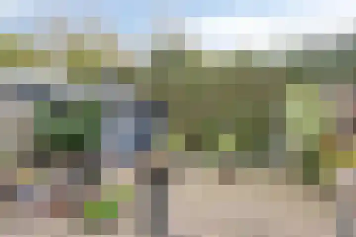 Korenbloem 4 Boekel thumbnail 31