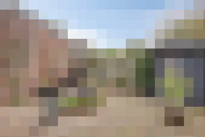 Korenbloem 4 Boekel thumbnail 32