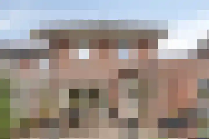 Korenbloem 4 Boekel thumbnail 33