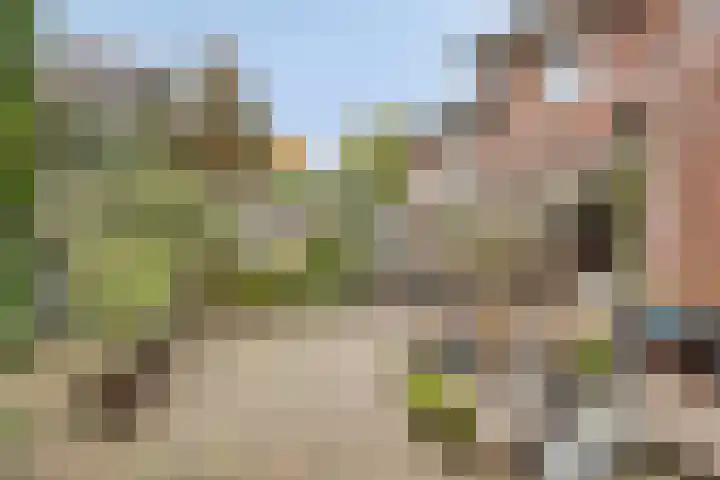 Korenbloem 4 Boekel thumbnail 34