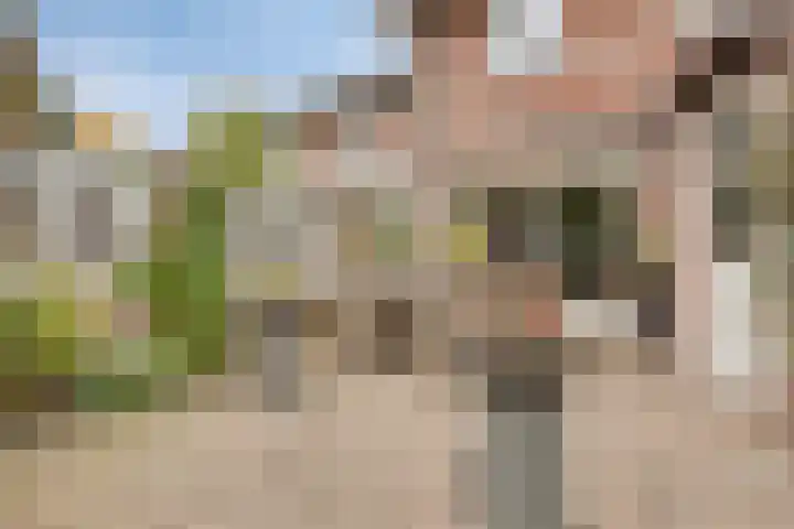 Korenbloem 4 Boekel thumbnail 35