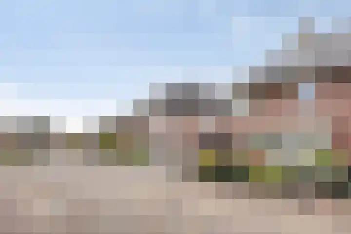 Korenbloem 4 Boekel thumbnail 36