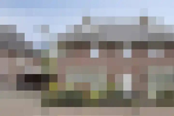 Korenbloem 4 Boekel thumbnail 4
