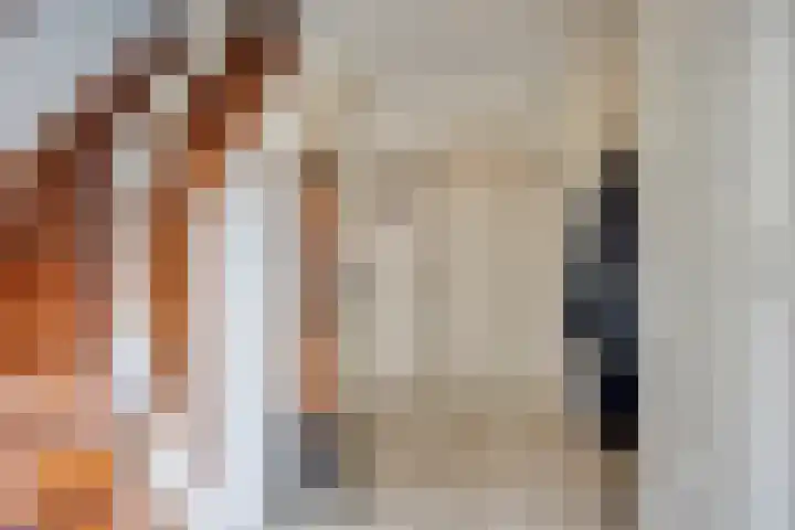 Korenbloem 4 Boekel thumbnail 5