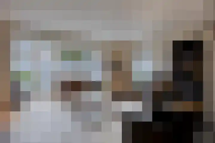 Korenbloem 4 Boekel thumbnail 7