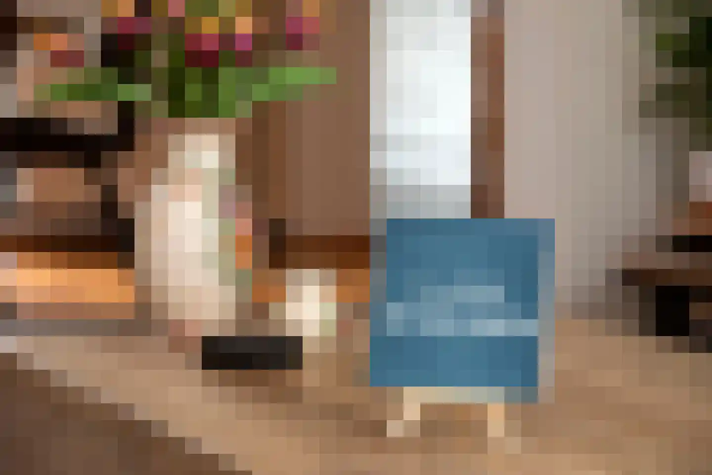 Korenbloem 4 Borne thumbnail 10