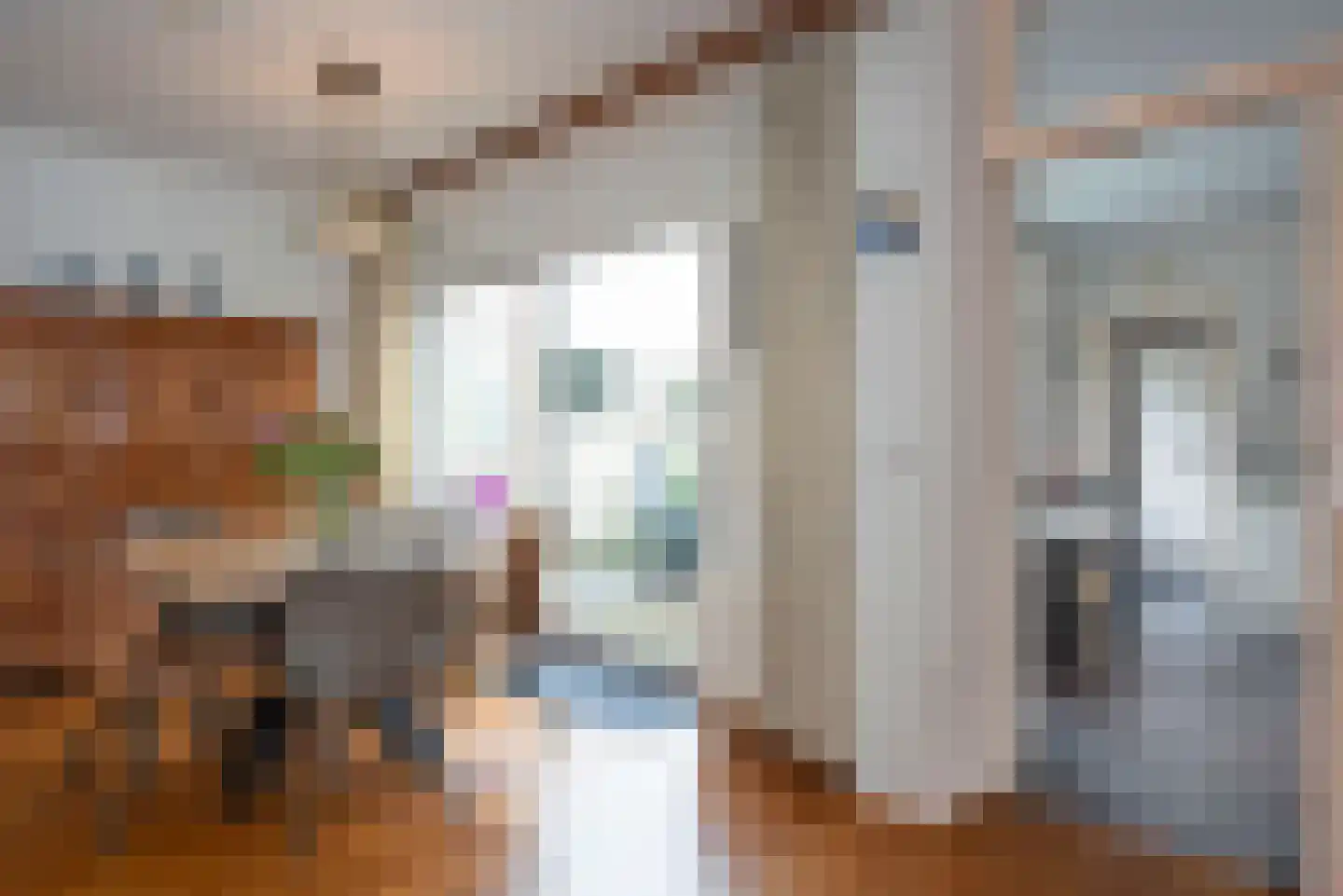 Korenbloem 4 Borne thumbnail 12