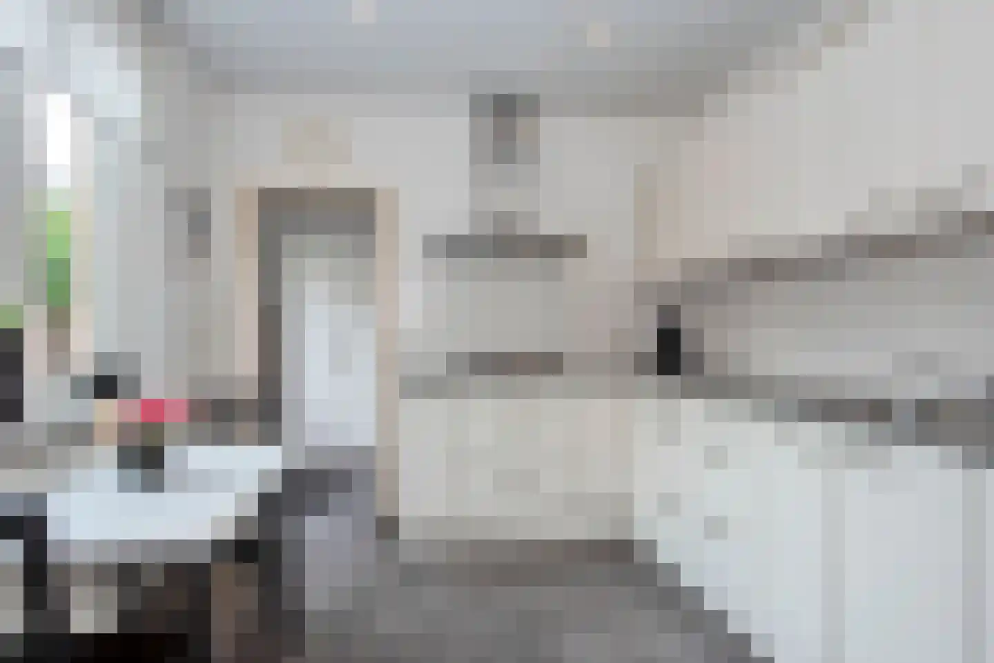 Korenbloem 4 Borne thumbnail 13