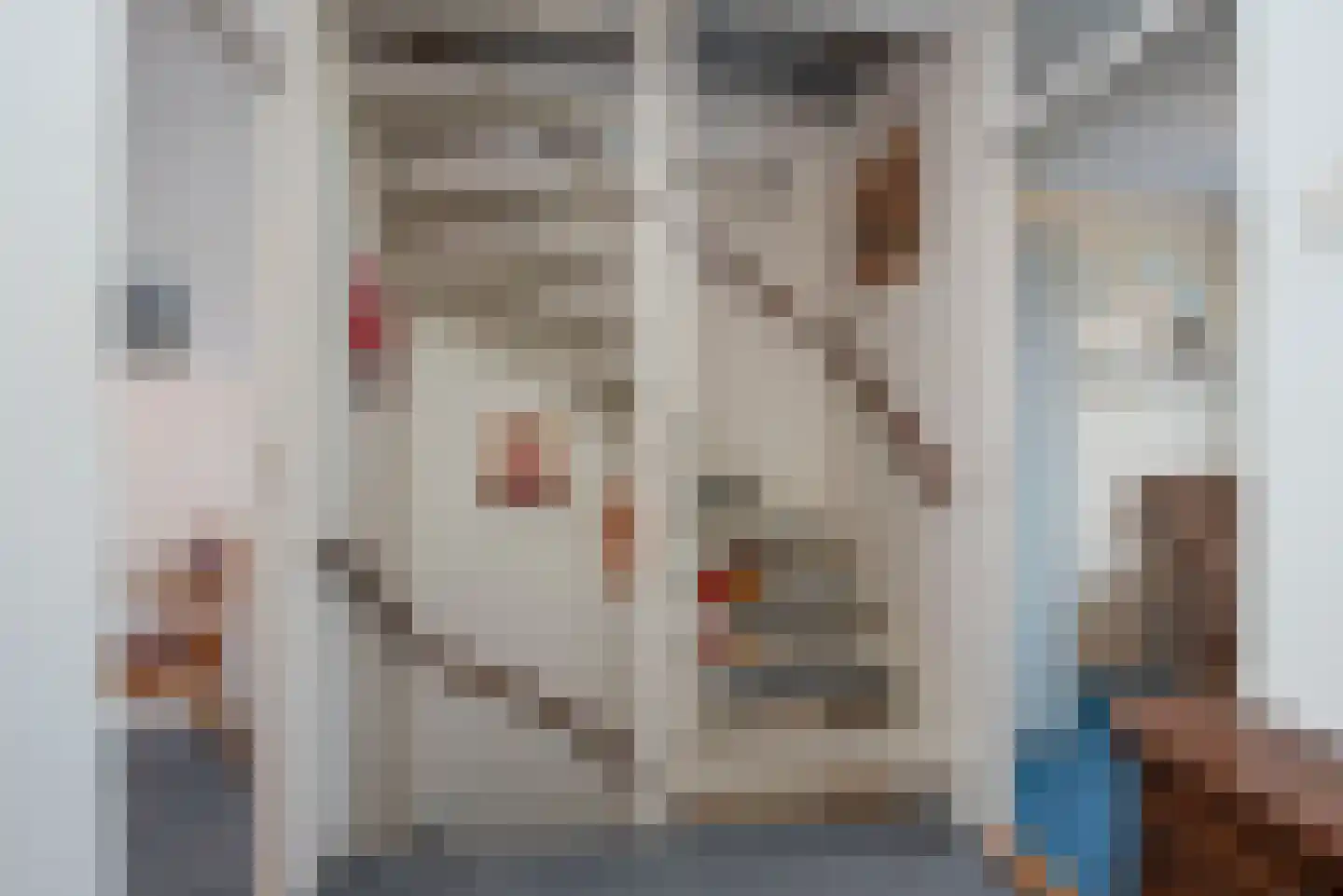 Korenbloem 4 Borne thumbnail 28