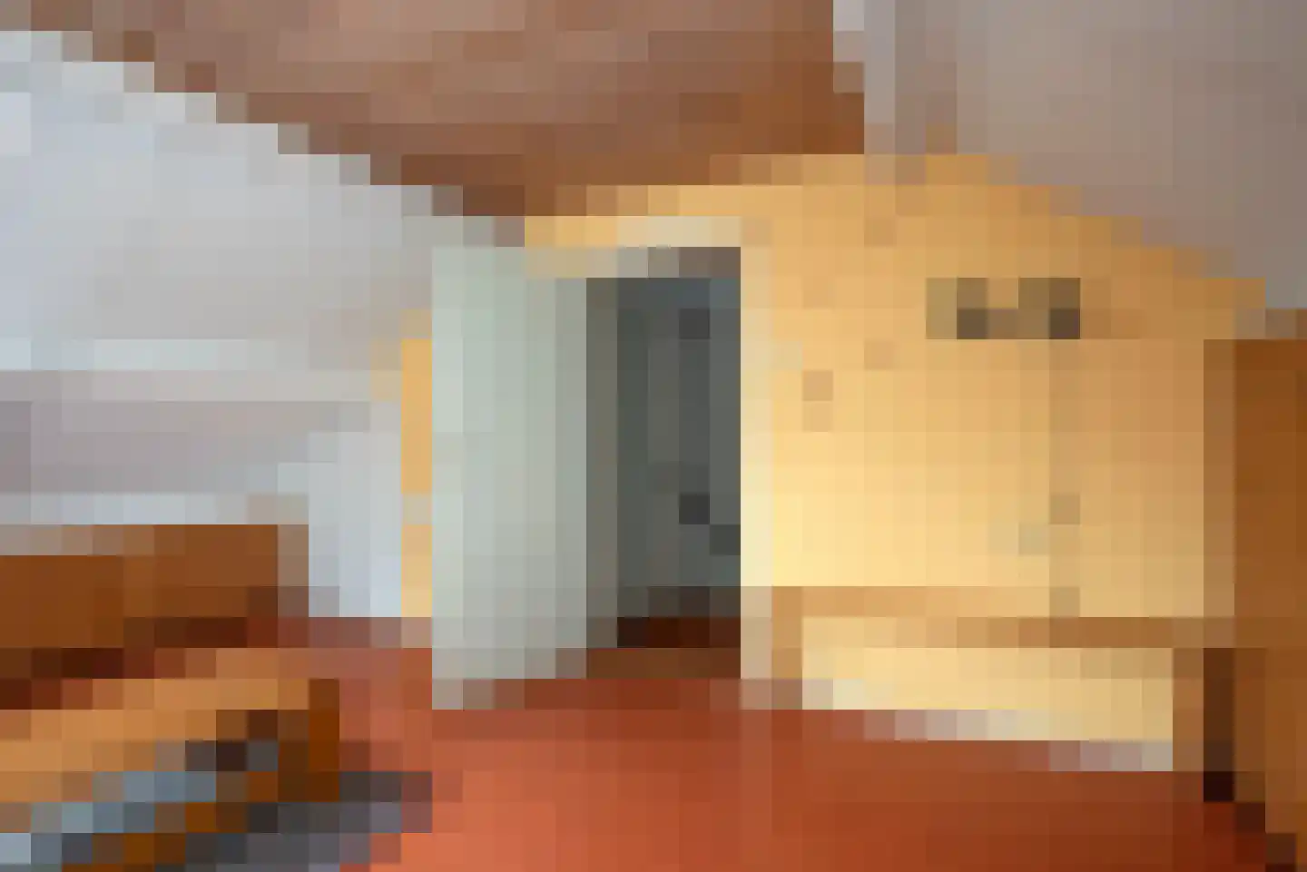 Korenbloem 4 Borne thumbnail 30