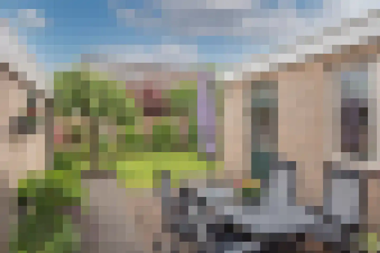 Korenbloem 4 Borne thumbnail 31