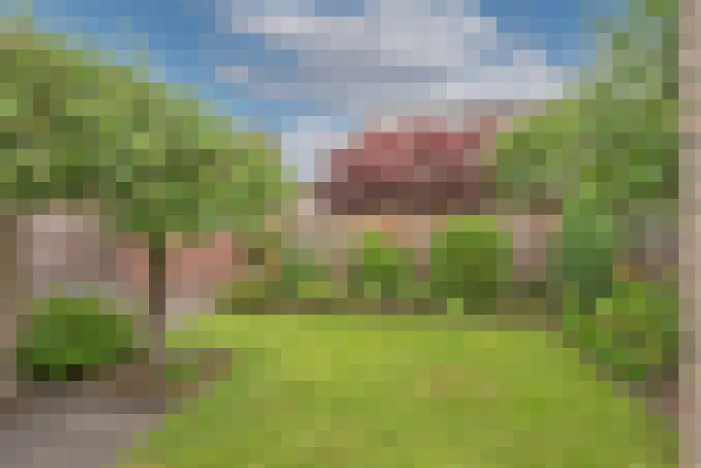 Korenbloem 4 Borne thumbnail 32