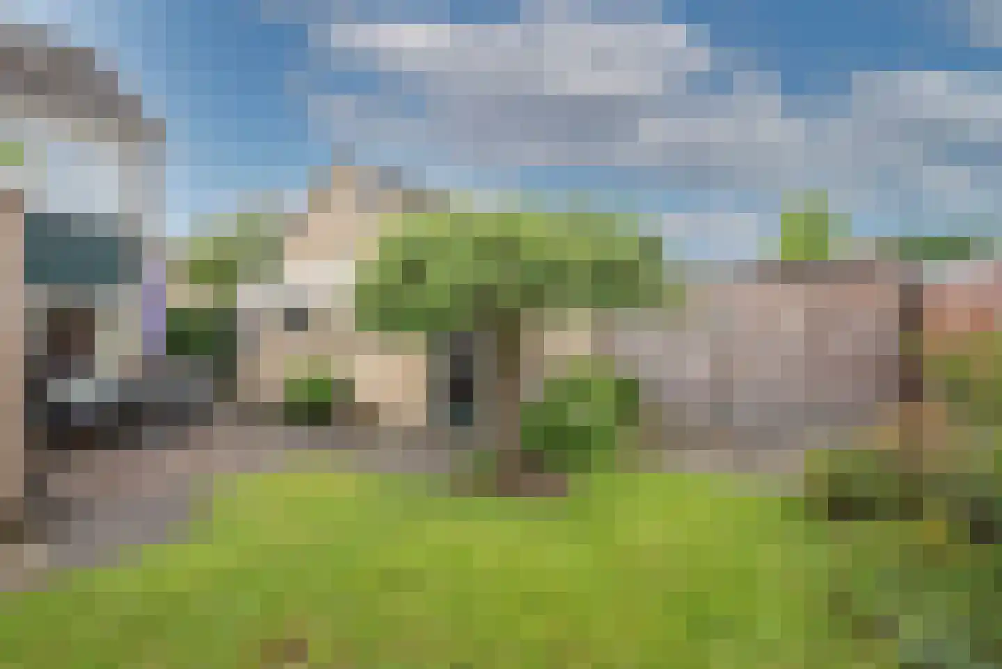 Korenbloem 4 Borne thumbnail 33
