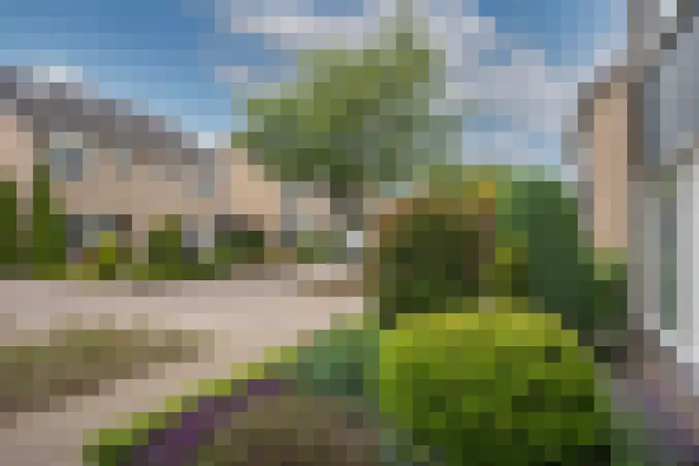 Korenbloem 4 Borne thumbnail 37