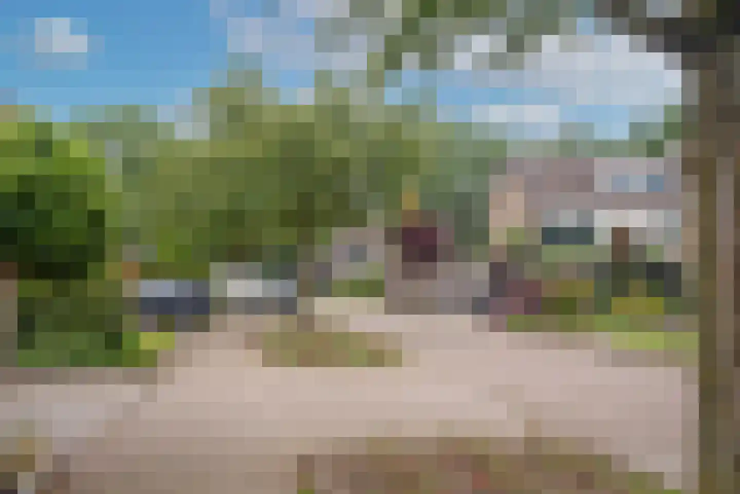 Korenbloem 4 Borne thumbnail 38