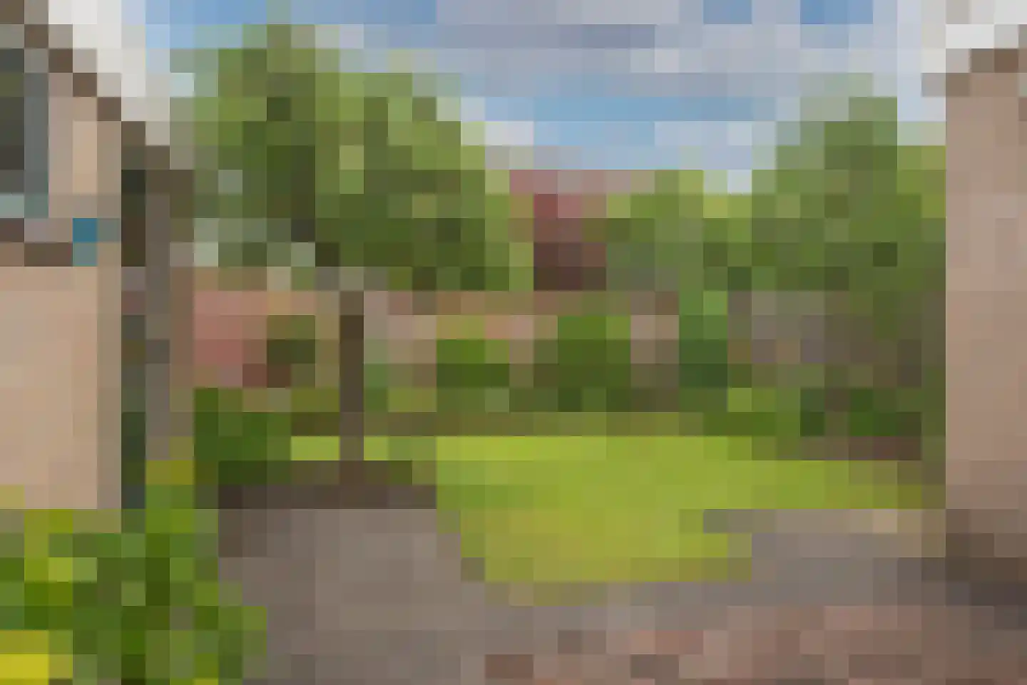 Korenbloem 4 Borne thumbnail 4