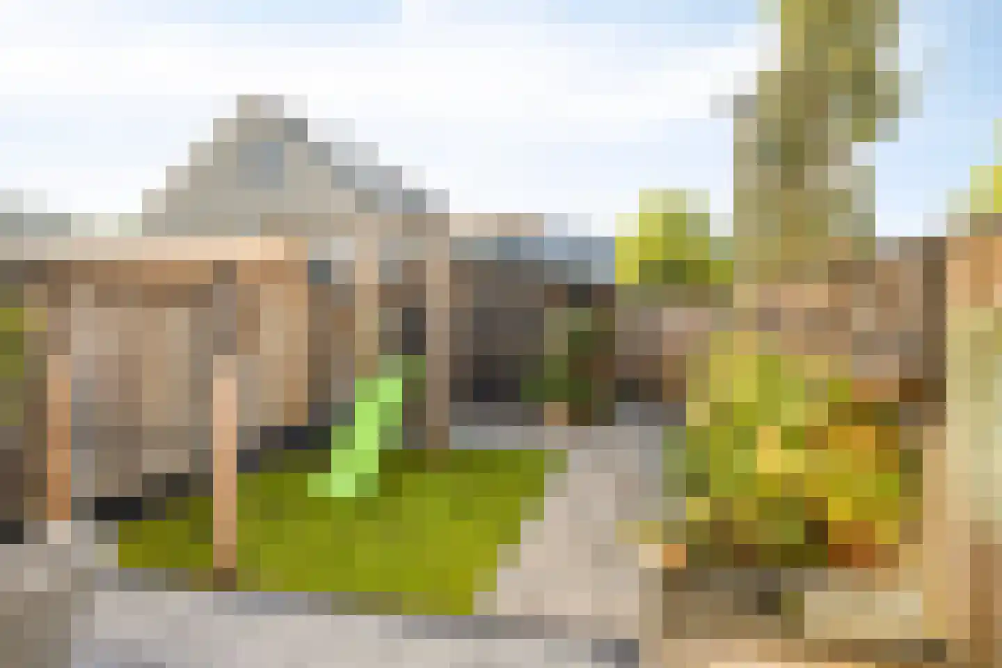 Korenbloem 4 Haaksbergen thumbnail 10