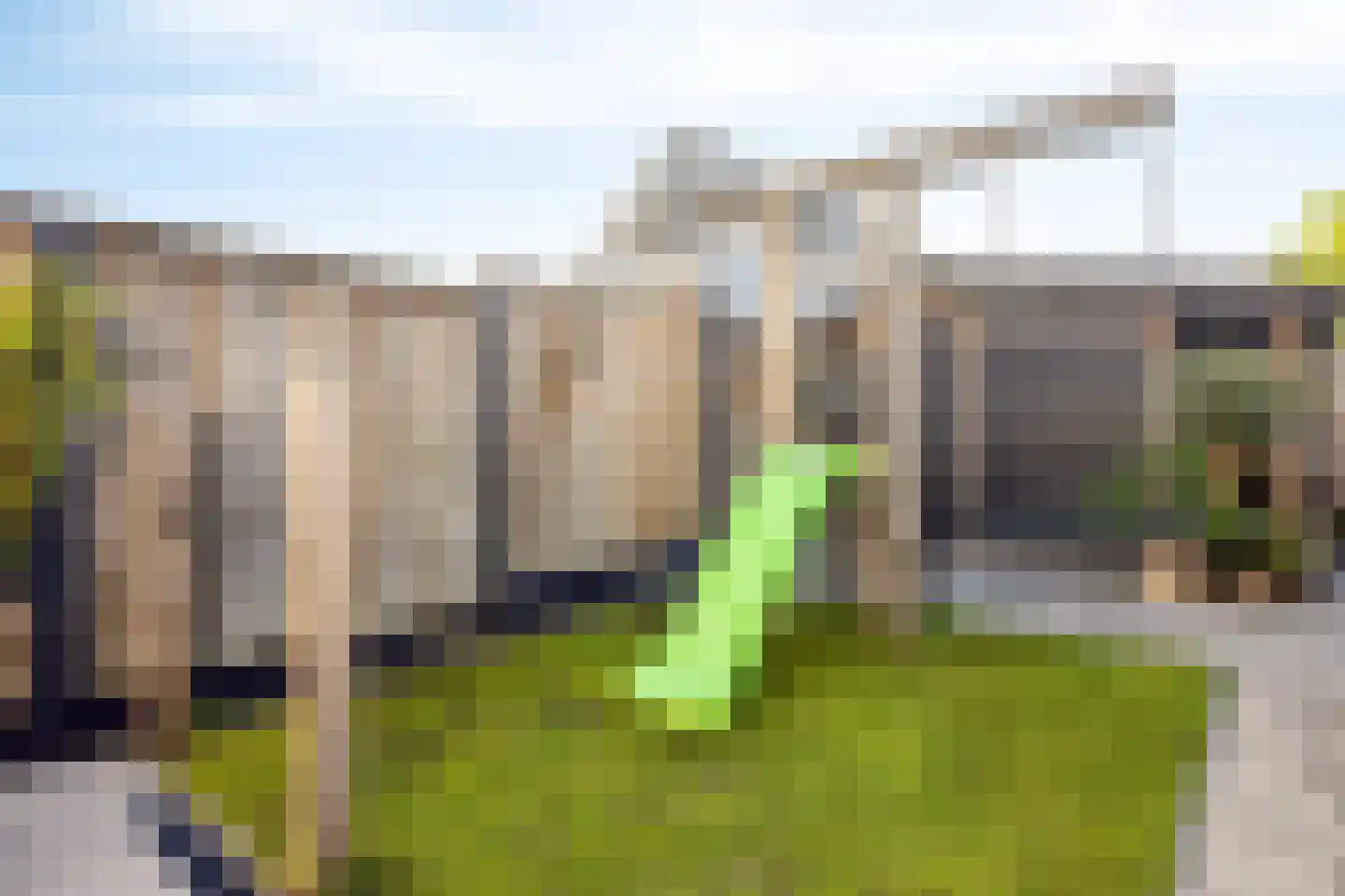 Korenbloem 4 Haaksbergen thumbnail 11