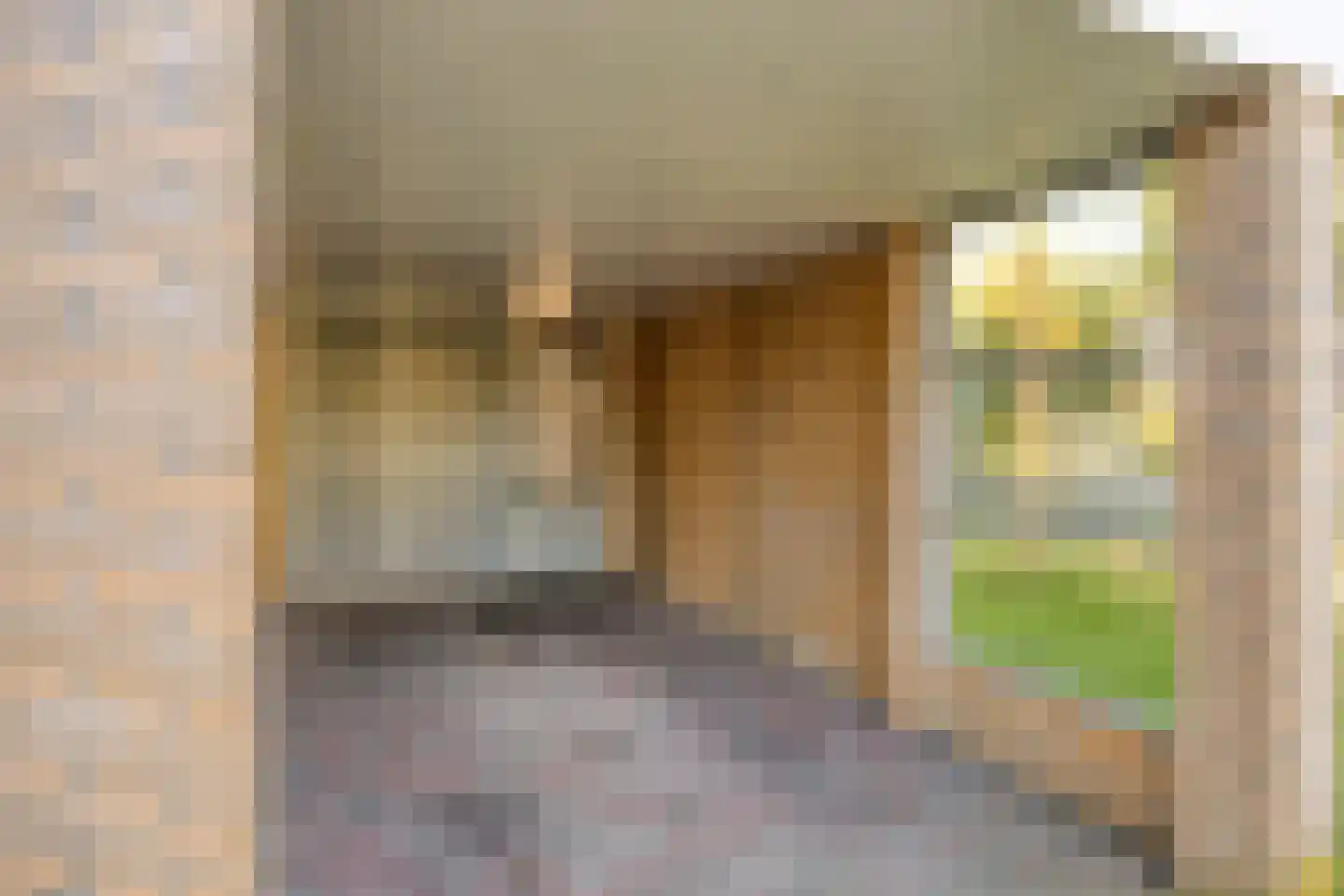 Korenbloem 4 Haaksbergen thumbnail 19