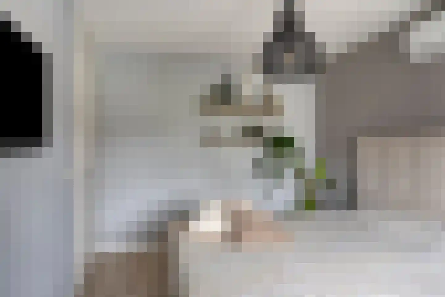 Korenbloem 4 Haaksbergen thumbnail 31
