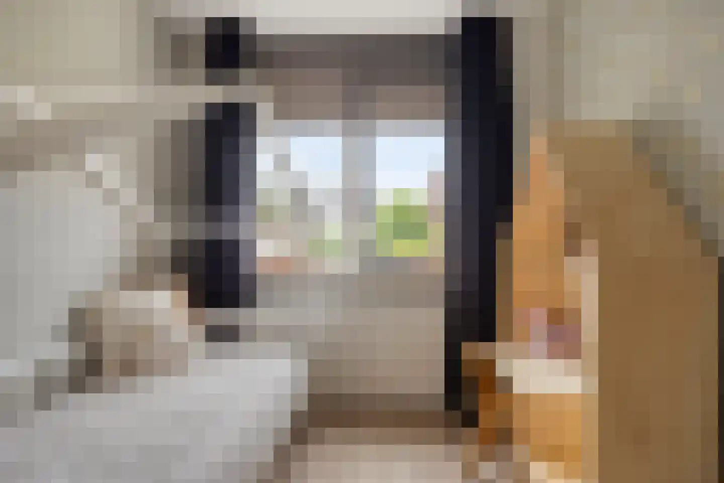 Korenbloem 4 Haaksbergen thumbnail 34