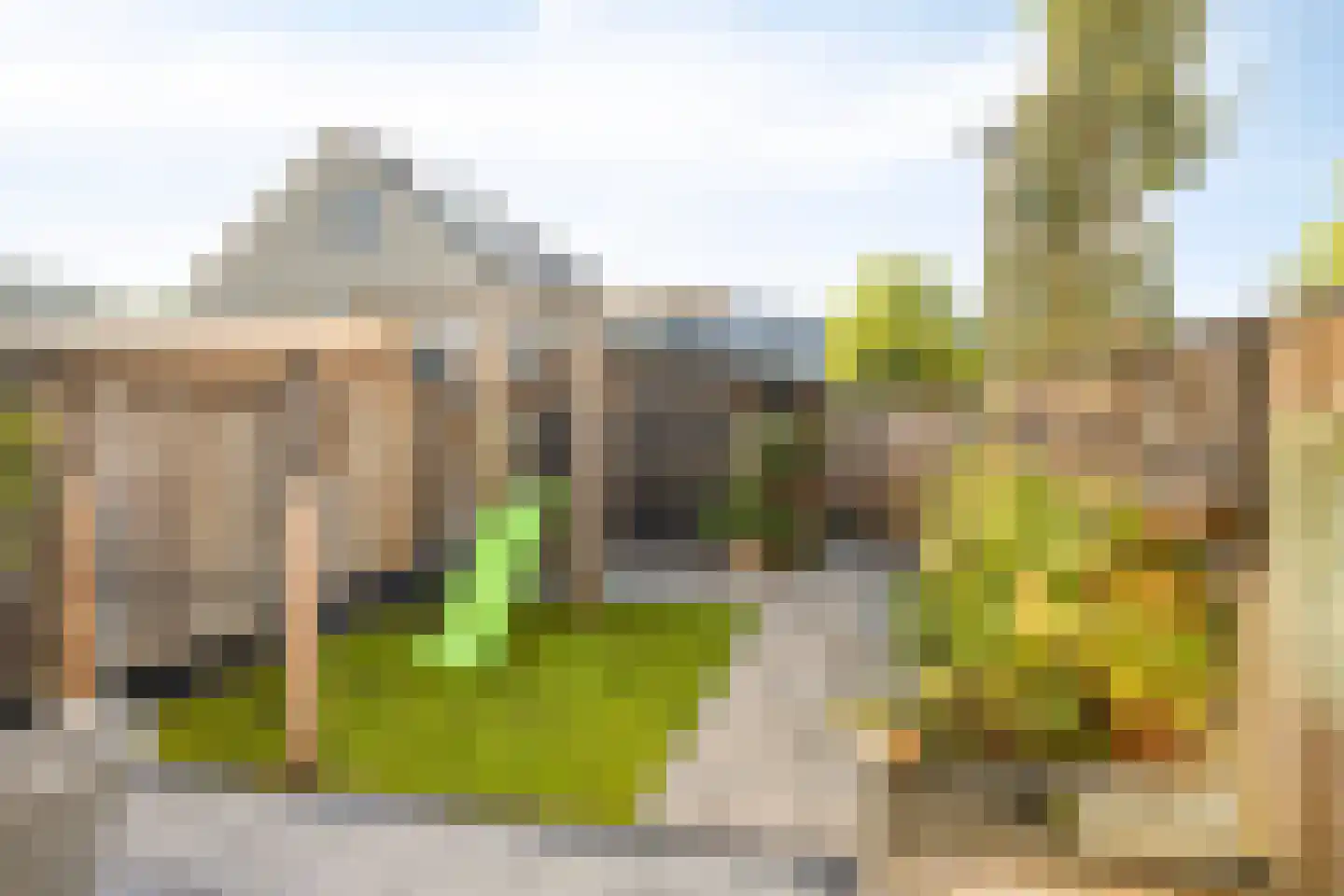 Korenbloem 4 Haaksbergen thumbnail 43