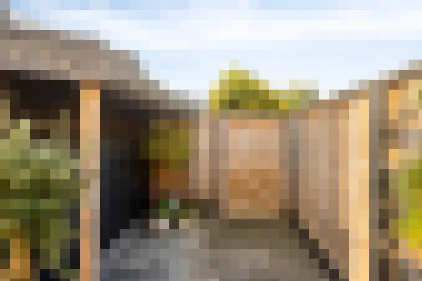 Korenbloem 4 Haaksbergen thumbnail 44