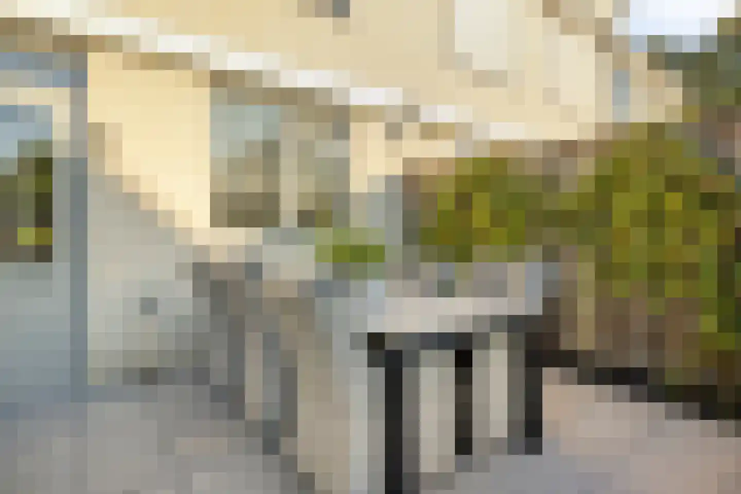 Korenbloem 4 Haaksbergen thumbnail 45