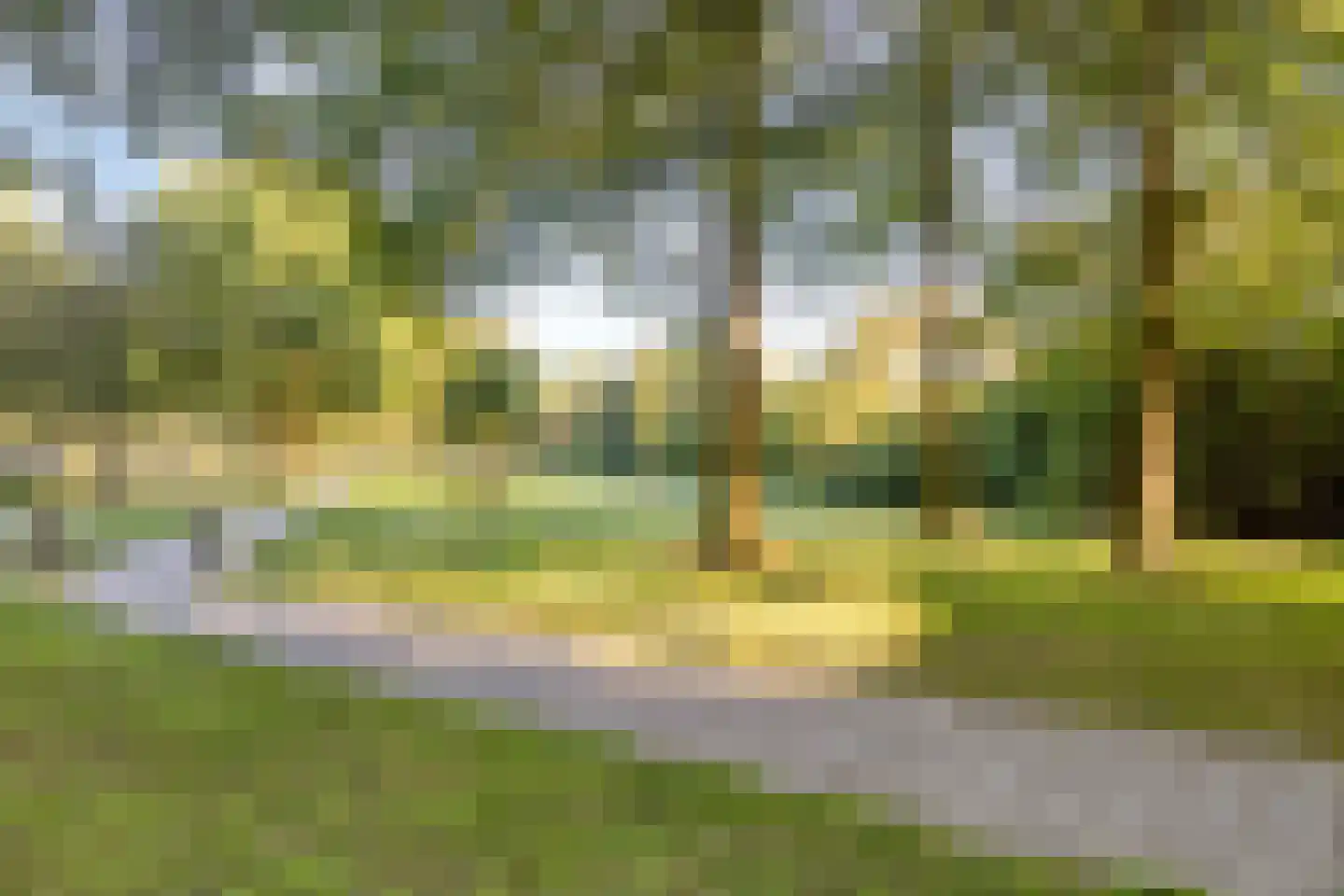 Korenbloem 4 Haaksbergen thumbnail 49