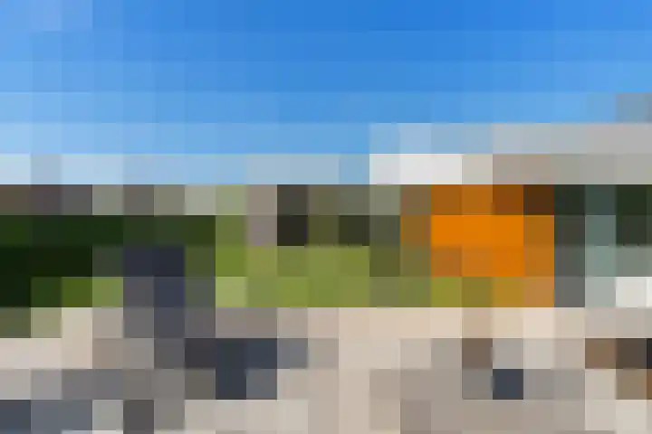 Korenbloem 4 Heerlen thumbnail 13