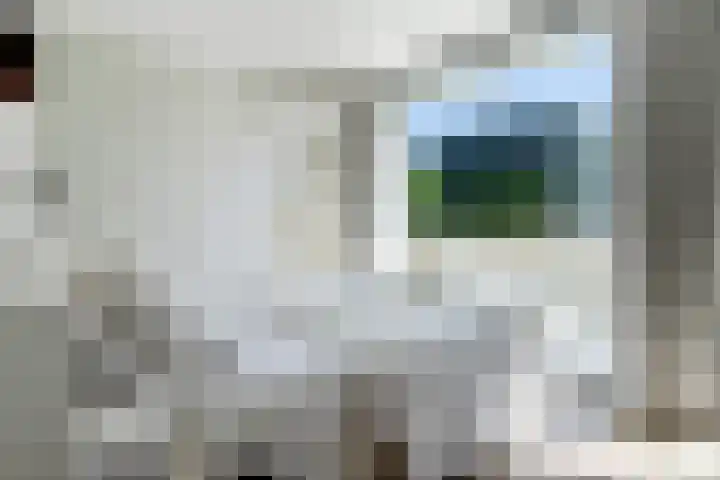 Korenbloem 4 Heerlen thumbnail 15