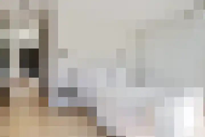 Korenbloem 4 Heerlen thumbnail 17