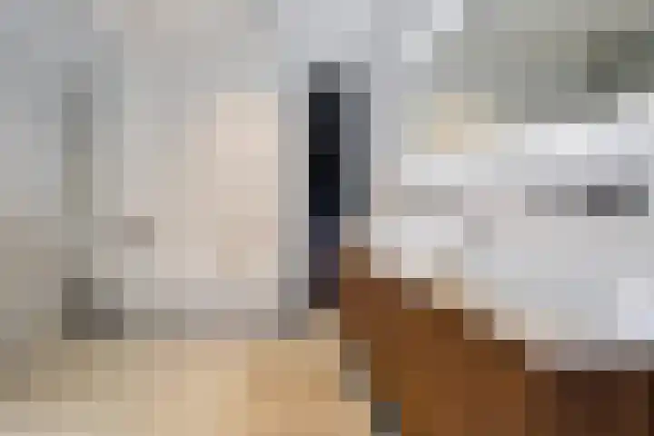 Korenbloem 4 Heerlen thumbnail 19