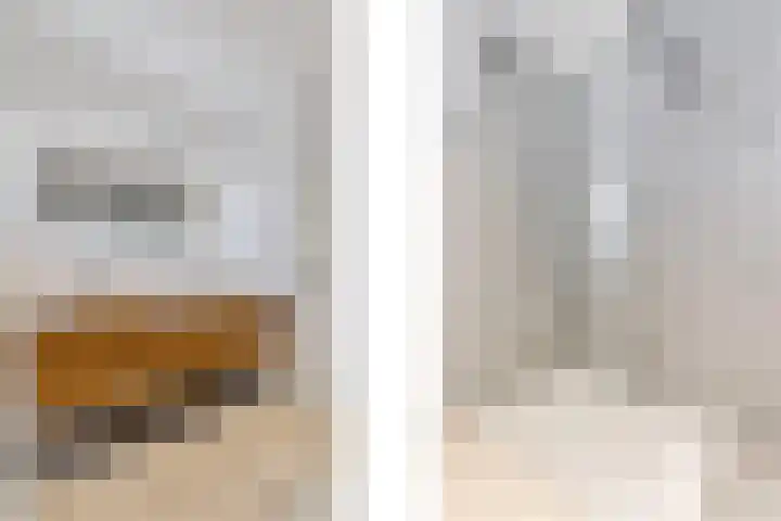 Korenbloem 4 Heerlen thumbnail 21