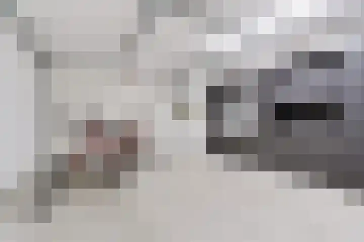 Korenbloem 4 Heerlen thumbnail 22