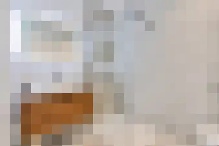 Korenbloem 4 Heerlen thumbnail 26