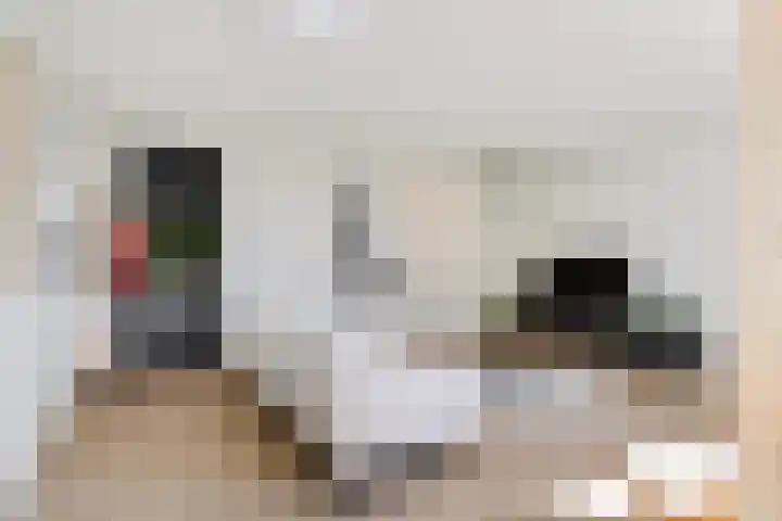 Korenbloem 4 Heerlen thumbnail 7