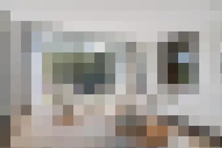 Korenbloem 4 Heerlen thumbnail 8