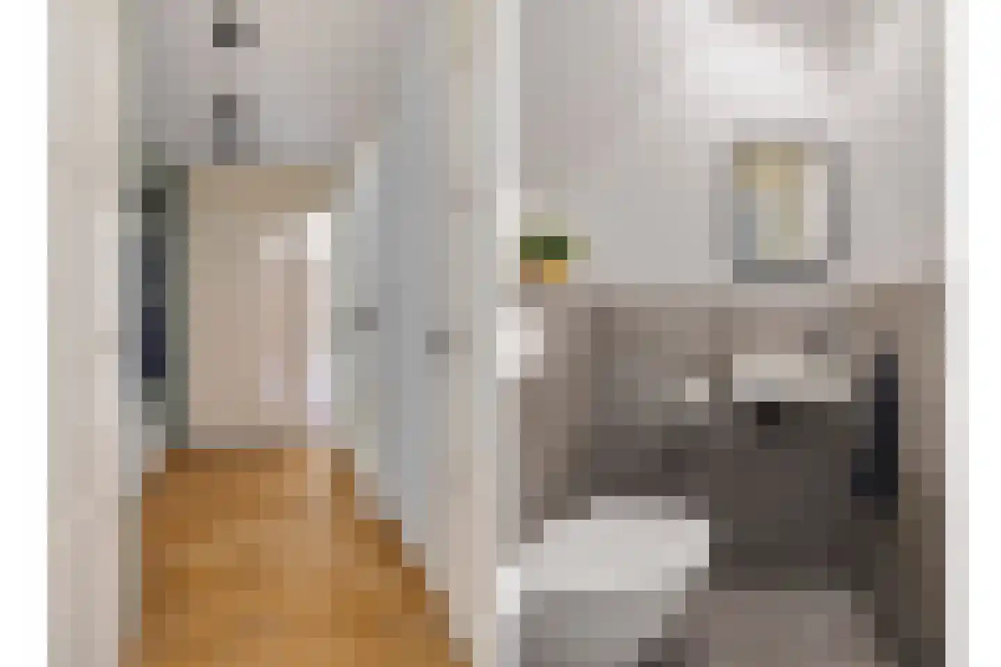 Korenbloem 40 Helden thumbnail 14